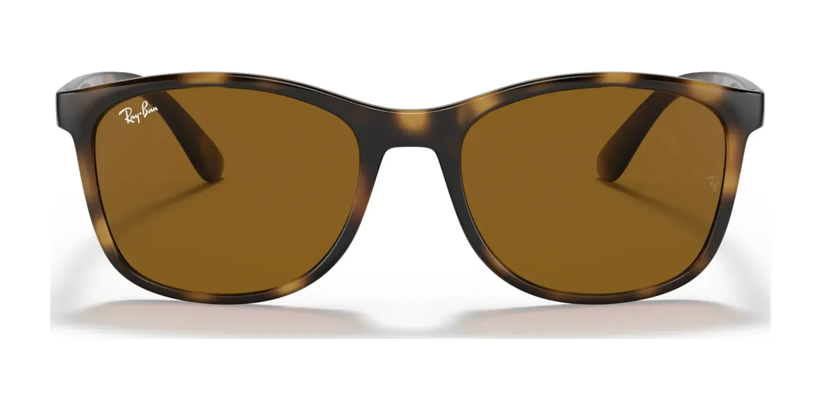Ray-Ban RB4374 Sunglasses