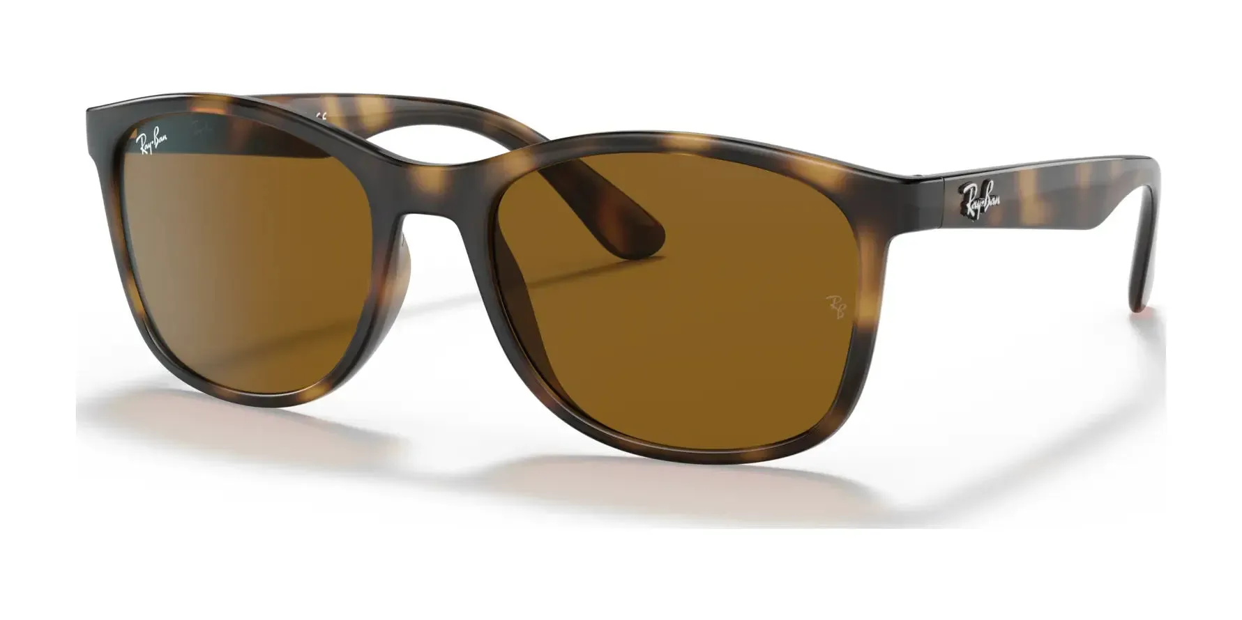 Ray-Ban RB4374 Sunglasses
