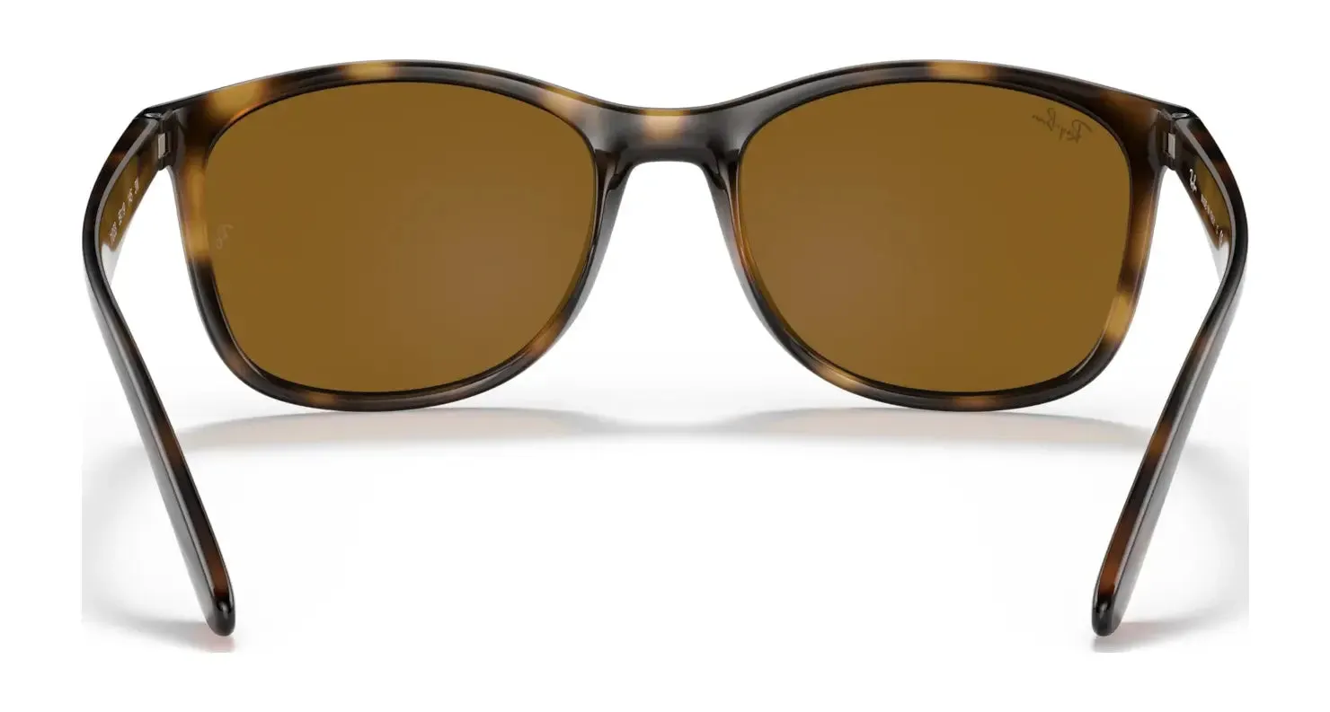 Ray-Ban RB4374 Sunglasses