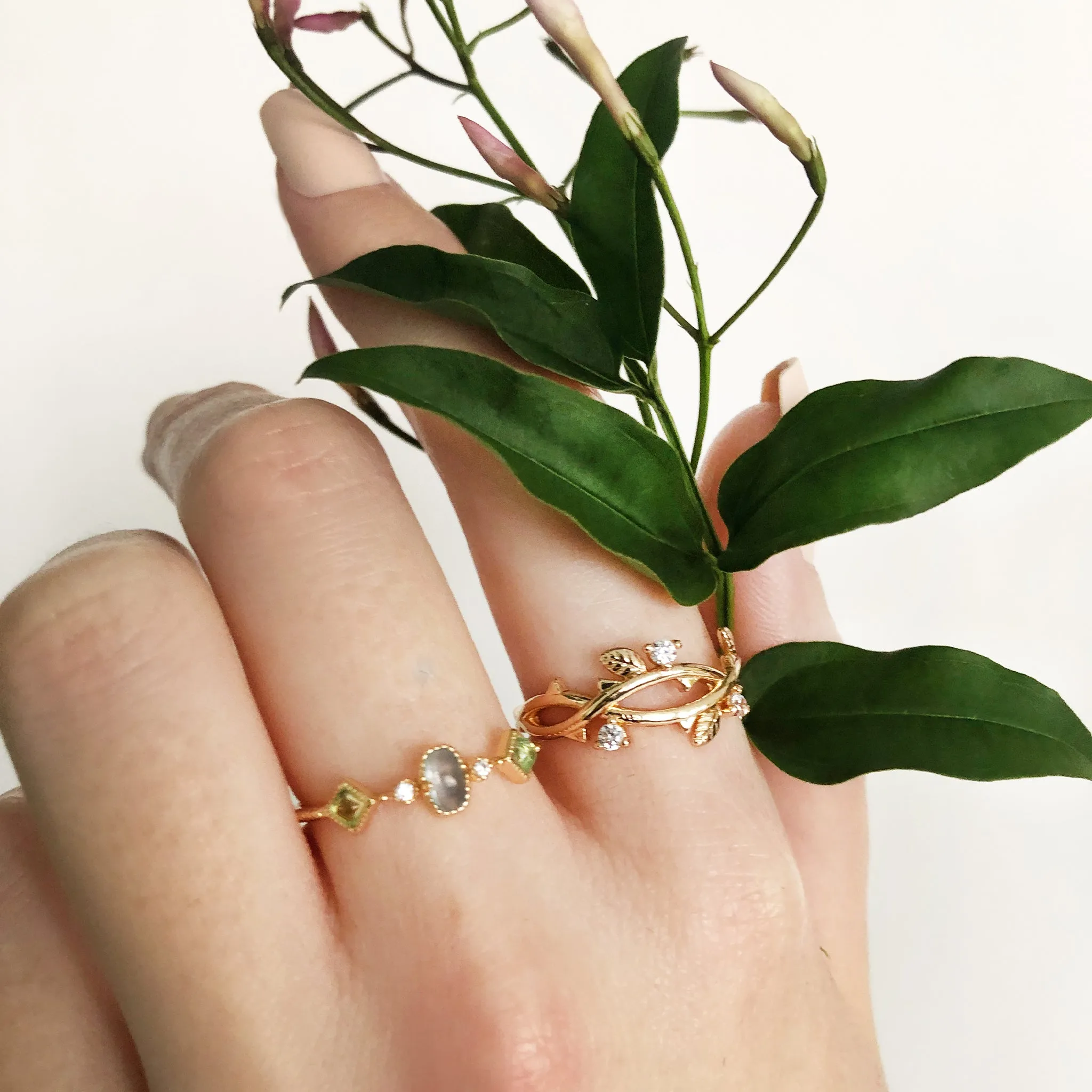 The Fae Ring