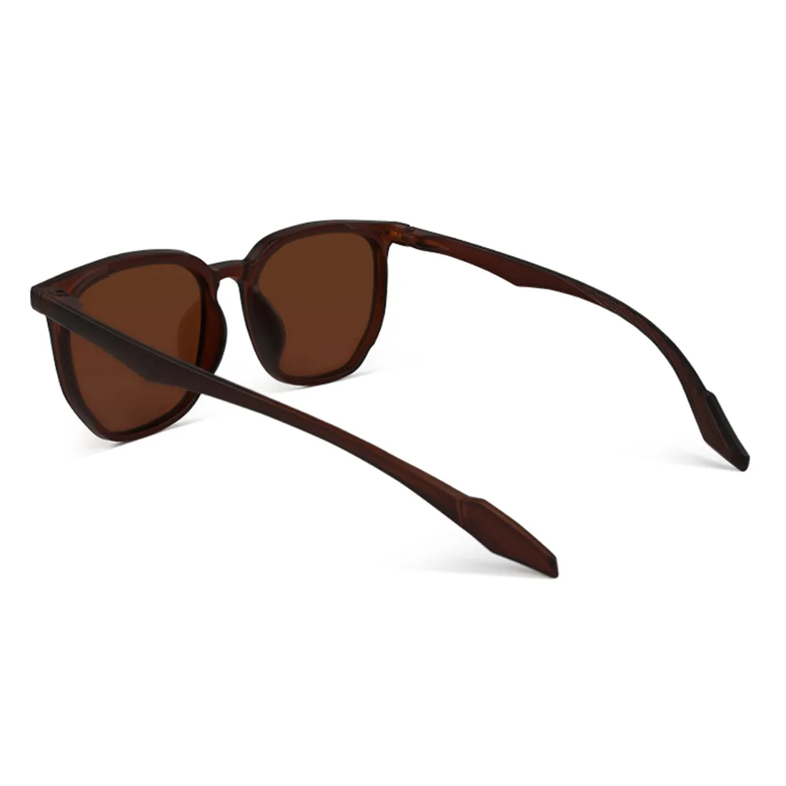 Wayfarer Full Rim Sunglasses