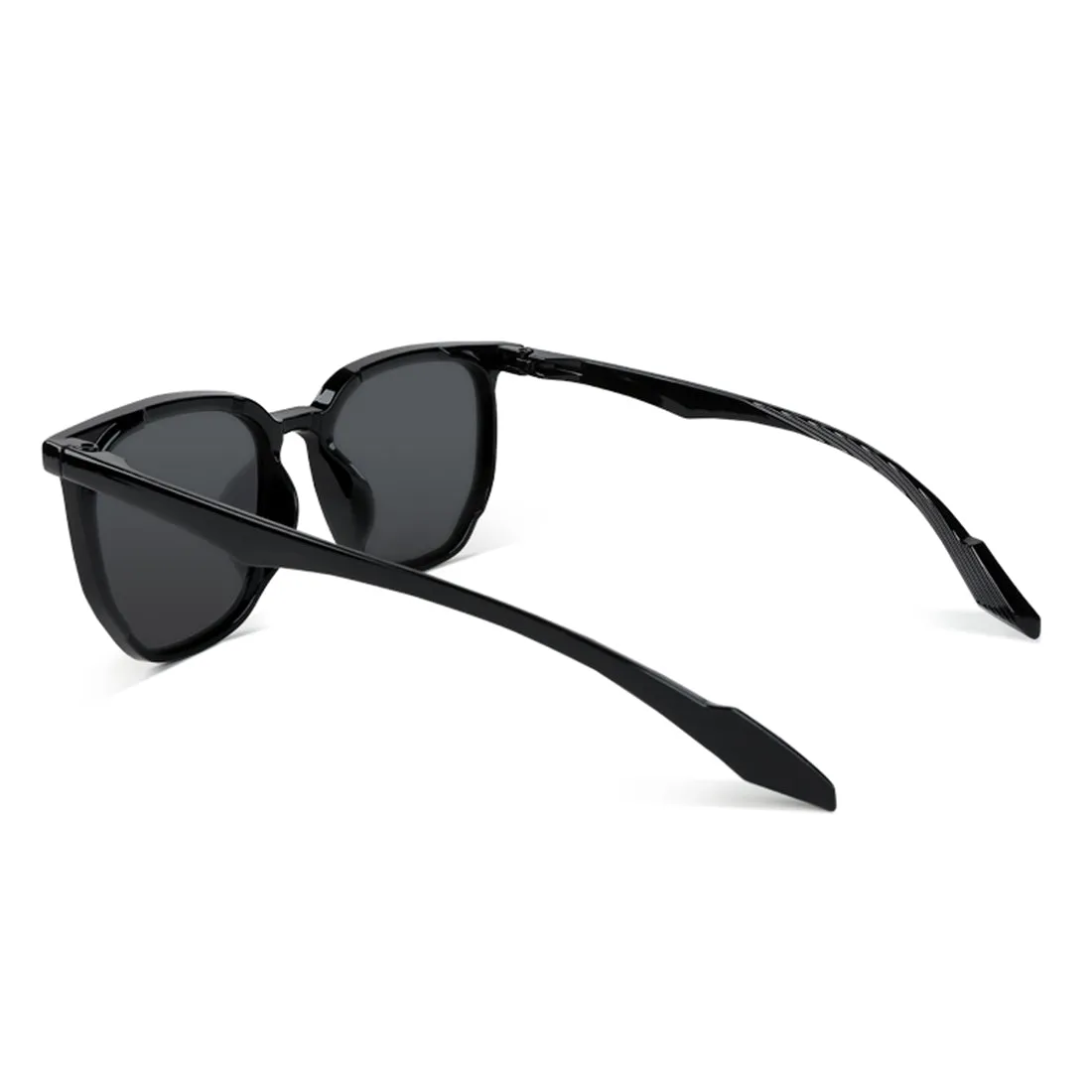 Wayfarer Full Rim Sunglasses